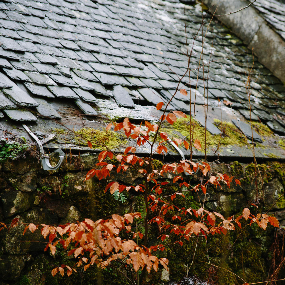 Gutter Repair